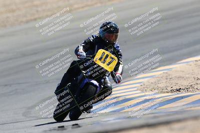 media/Mar-12-2022-SoCal Trackdays (Sat) [[152081554b]]/Turn 10 (130pm)/